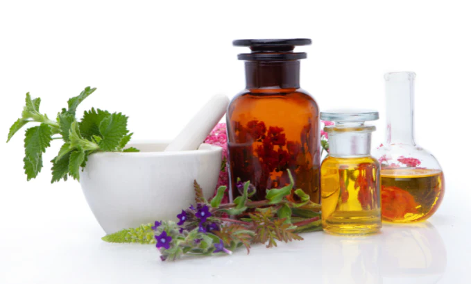 Turkesterone For The Muscle Growth