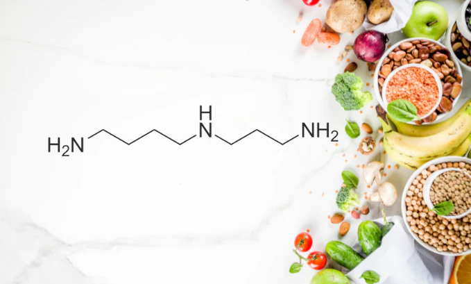 Spermidine Rich Foods And Spermidine Supplements