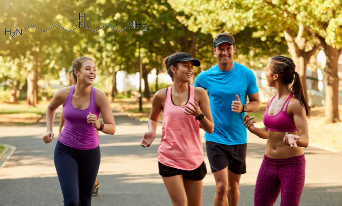 Spermidine Dose – How Should Spermidine Be Taken?