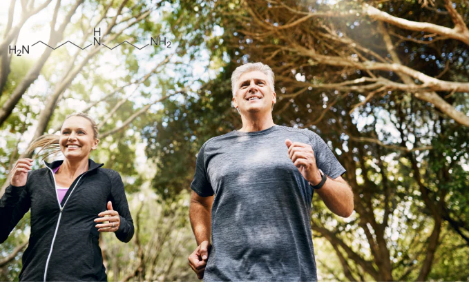 Live Healthier And Longer With Spermine And Spermidine Supplements