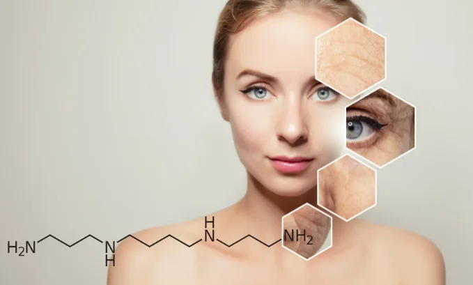 What Are Spermine Supplements And What Makes Them So Special?