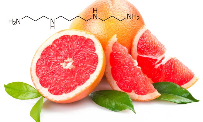 What Is Spermine? Benefits And Side Effects