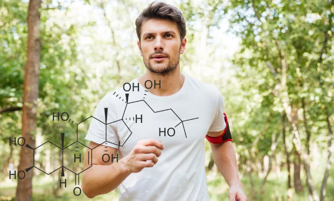 Buy Turkesterone - An Effective Source Of Physical Strength