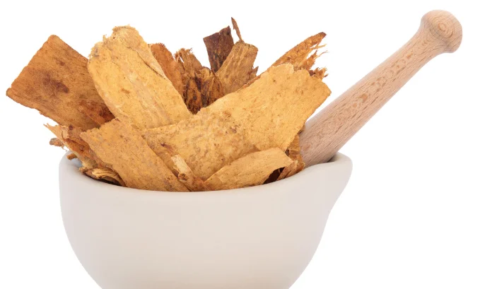 Cycloastragenol: Best Astragalus Root Extract