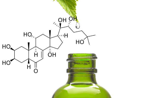 Does Turkesterone Provoke Hair Loss?