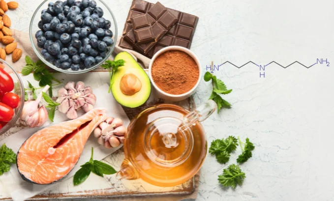 Benefits of spermidine to anti-aging