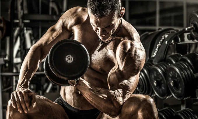 endothelial function