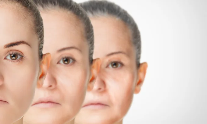 Unveiling the Secrets of Rapamycin Supplement: A Comprehensive Guide to the Revolutionary Supplement