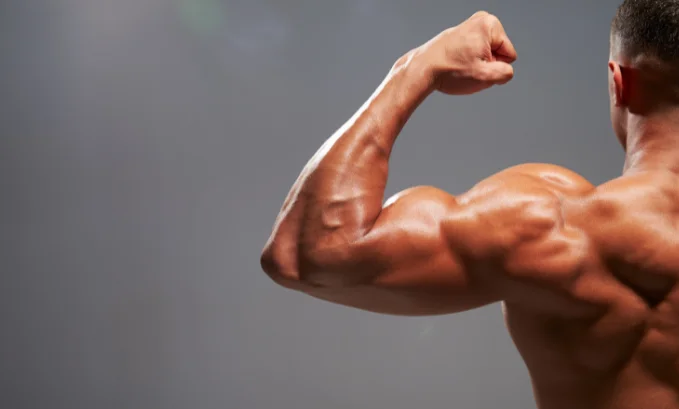 Sermorelin: An Innovative Approach to Muscle Growth