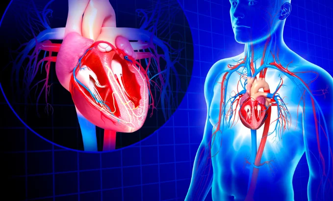 enclomiphene therapy